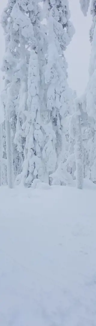 Schneemobiltour